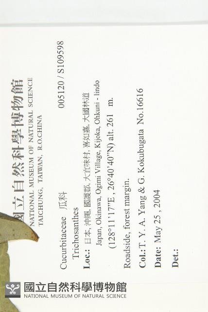 登錄號:S109598藏品圖，第5張