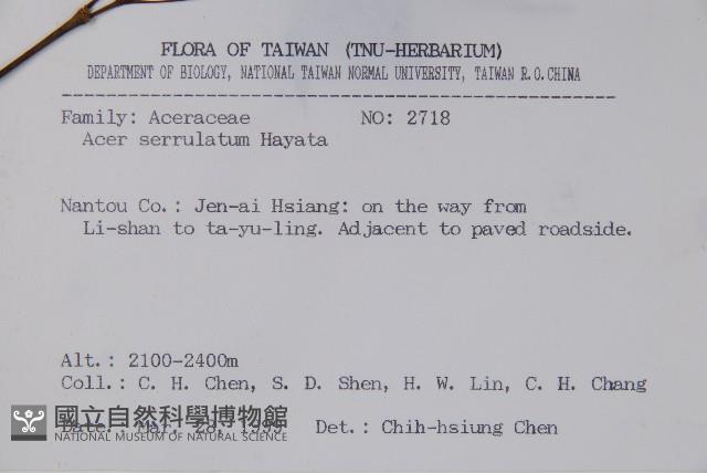 青楓藏品圖，第2張