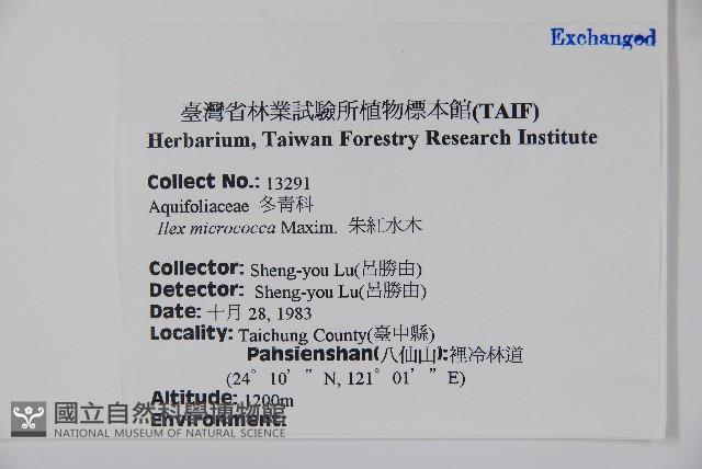 朱紅水木藏品圖，第2張