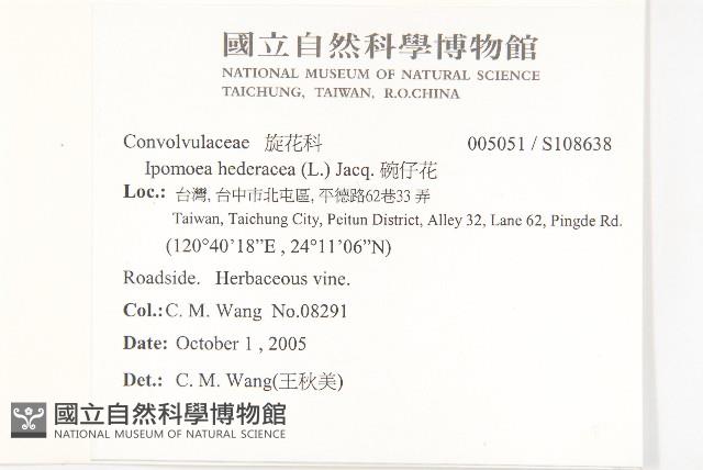 碗仔花藏品圖，第2張