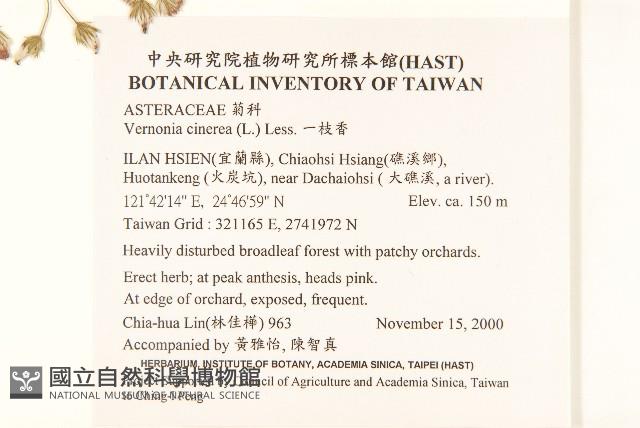 一枝香藏品圖，第2張