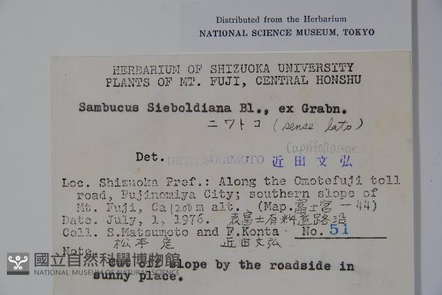 登錄號:S049038藏品圖，第2張