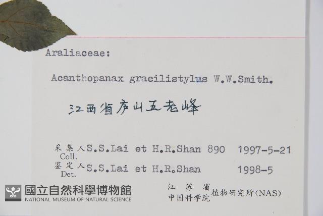 五加藏品圖，第2張