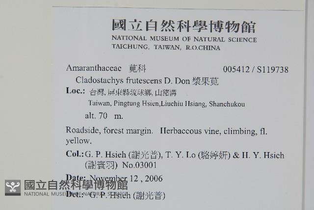 漿果莧藏品圖，第2張