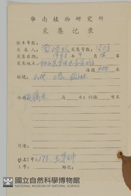 柄序南蛇藤藏品圖，第2張