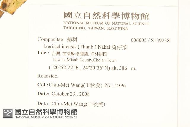 兔仔菜藏品圖，第2張