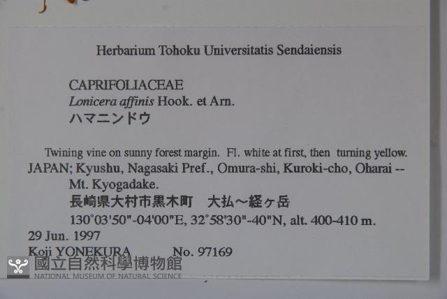 登錄號:S058438藏品圖，第2張