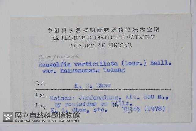 海南蘿芙木藏品圖，第2張