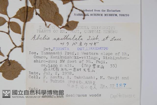 Accession Number:S049138 Collection Image, Figure 2, Total 2 Figures