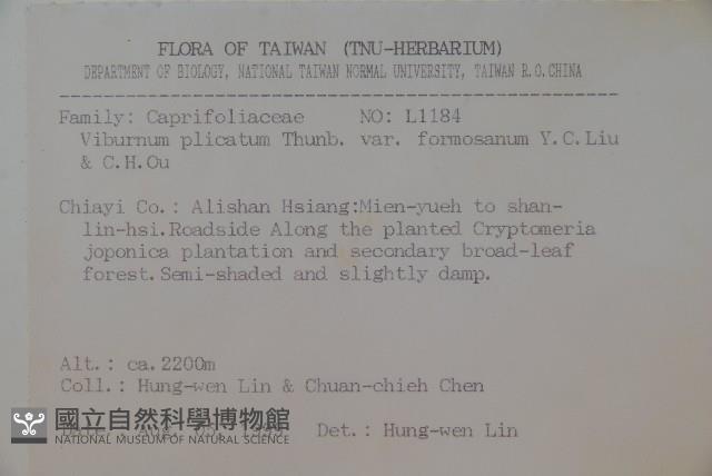 臺灣蝴蝶戲珠花、臺灣蝴蝶花藏品圖，第2張