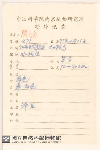 佩蘭、澤蘭藏品圖，第2張