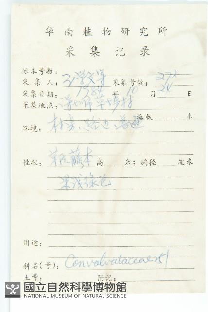 紅花野牽牛藏品圖，第2張