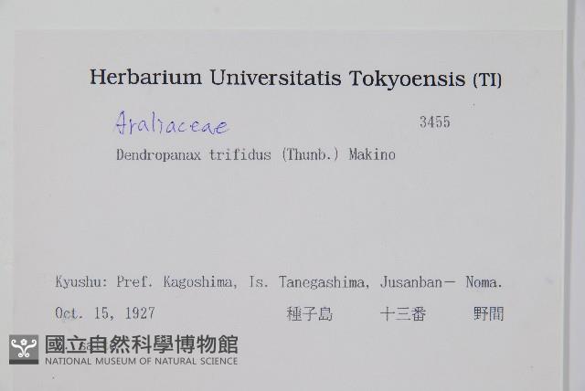 三菱果樹參藏品圖，第2張