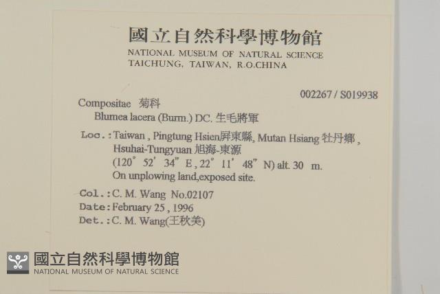 生毛將軍藏品圖，第2張