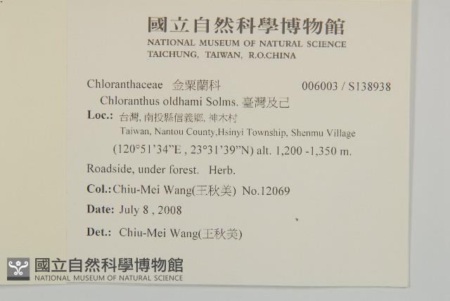 臺灣及己藏品圖，第2張