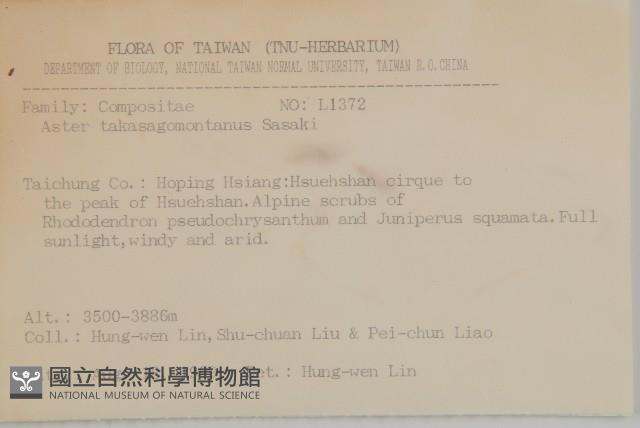 雪山馬蘭藏品圖，第2張