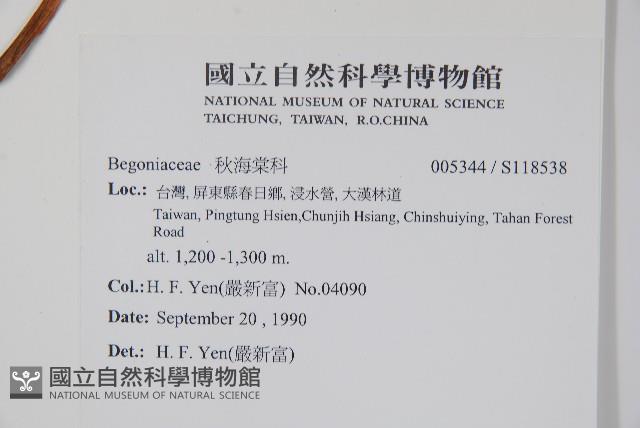 登錄號:S118538藏品圖，第2張