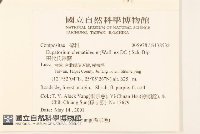 田代氏澤蘭藏品圖，第2張