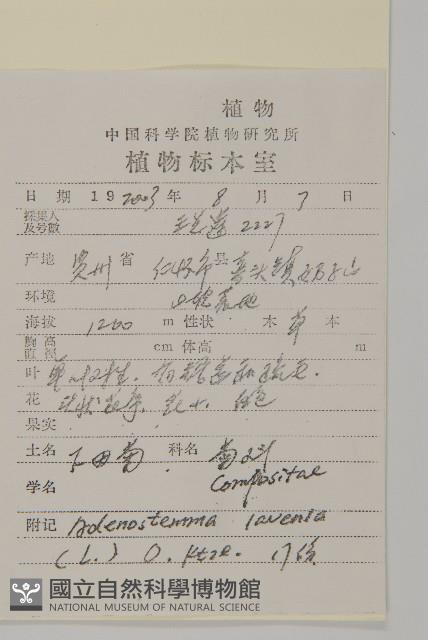 下田菊藏品圖，第2張