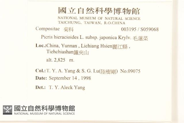 毛蓮菜藏品圖，第2張