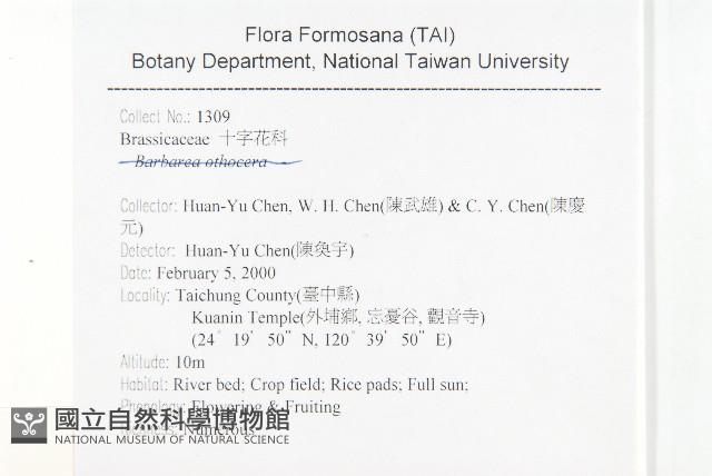 廣東葶藶藏品圖，第2張