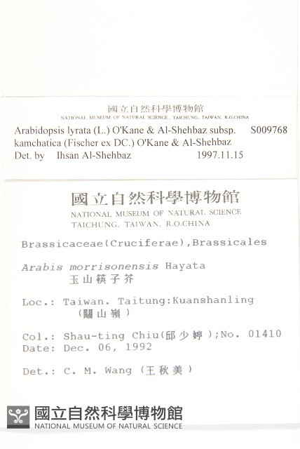 玉山筷子芥藏品圖，第2張