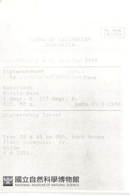 登錄號:S058768藏品圖，第2張