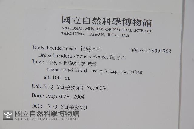 鐘萼木藏品圖，第2張