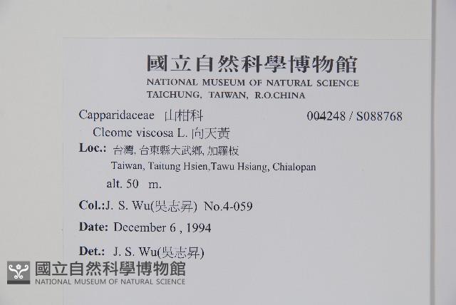 向天黃藏品圖，第2張