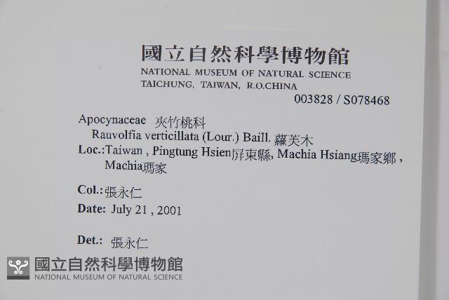 蘿芙木藏品圖，第2張