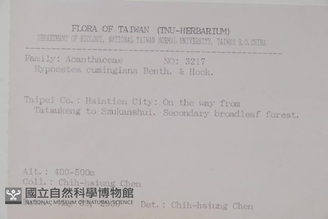 九頭獅子草藏品圖，第2張