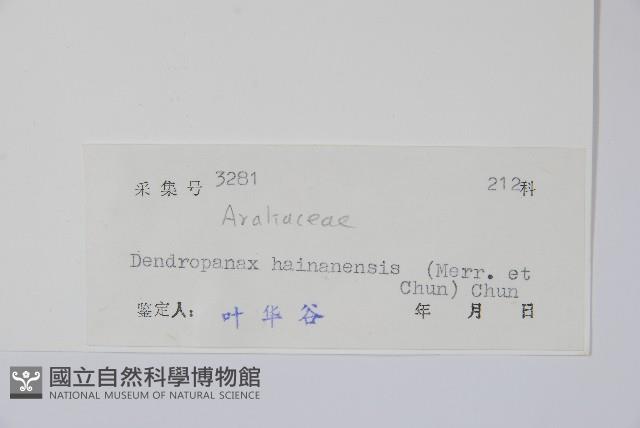 海南杞李參藏品圖，第2張