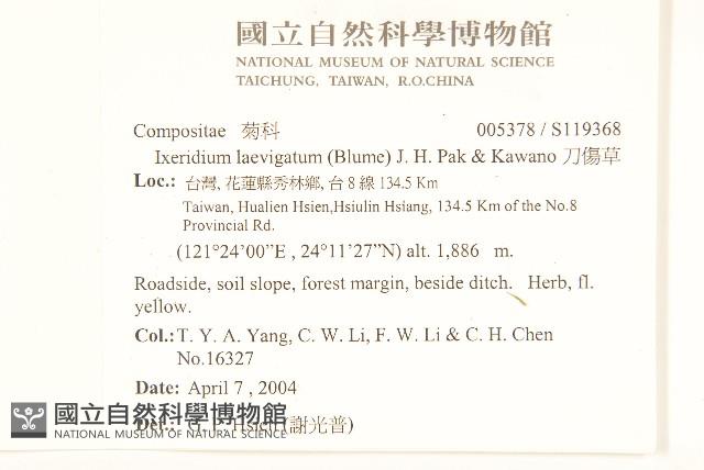 刀傷草藏品圖，第2張