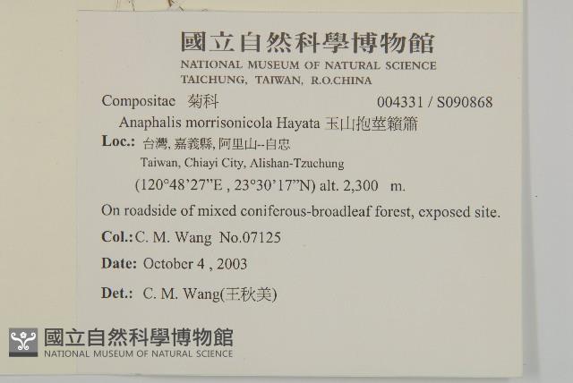 玉山抱莖籟簫藏品圖，第2張