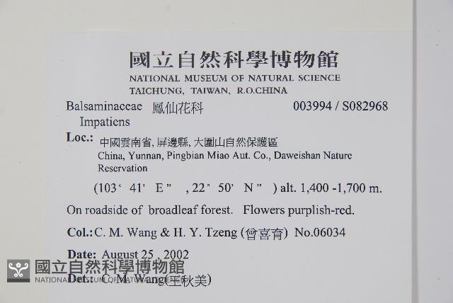 登錄號:S082968藏品圖，第2張