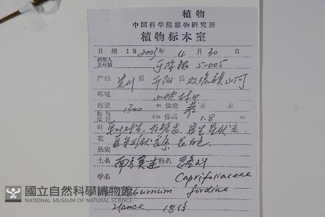 南方莢迷藏品圖，第2張