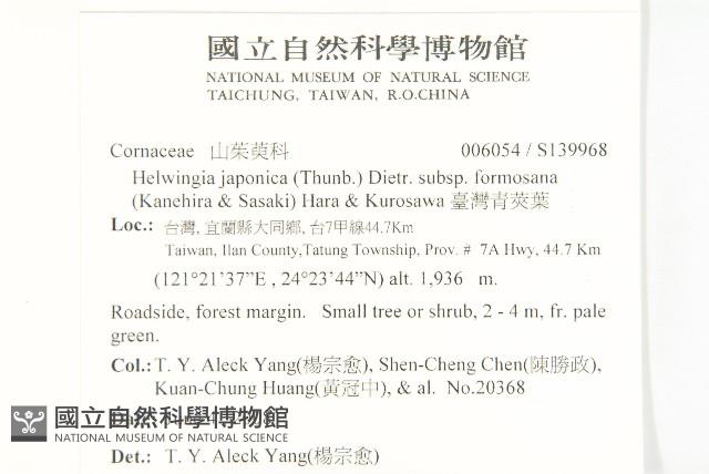 Helwingia Collection Image, Figure 2, Total 2 Figures