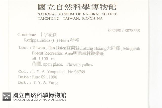 葶藶藏品圖，第2張