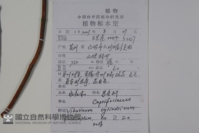 水紅木藏品圖，第2張