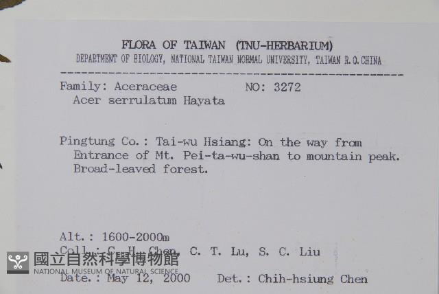 青楓藏品圖，第2張