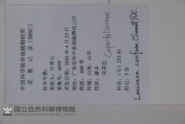 山銀花藏品圖，第2張