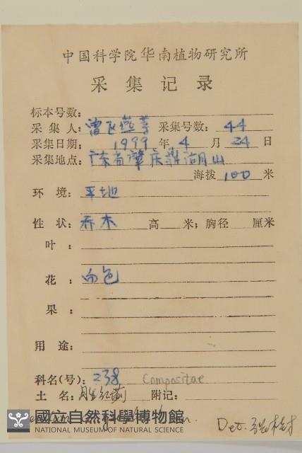 霍香薊藏品圖，第2張