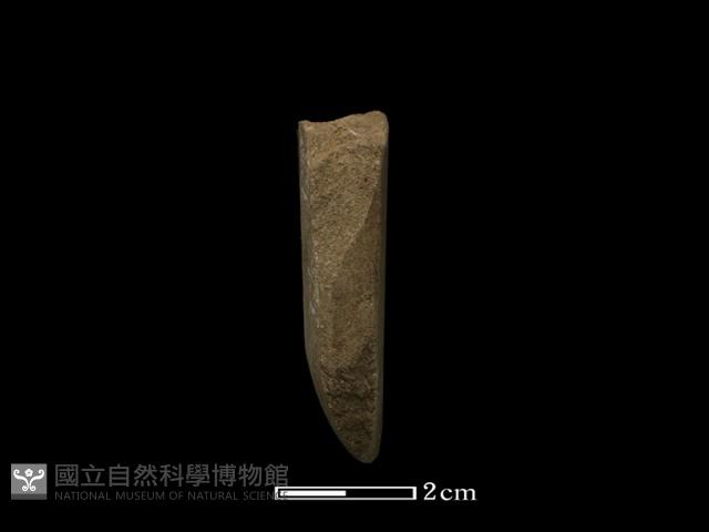 錛鑿形器藏品圖，第2張