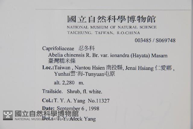 臺灣糯米條藏品圖，第2張