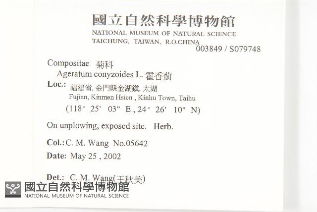 霍香薊藏品圖，第2張