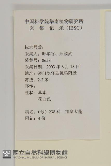 加拿大蓬藏品圖，第2張