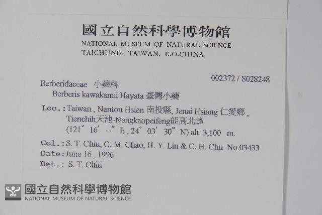 臺灣小蘗藏品圖，第2張