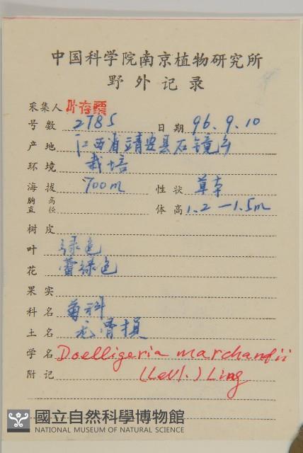 短冠東鳳菜藏品圖，第2張