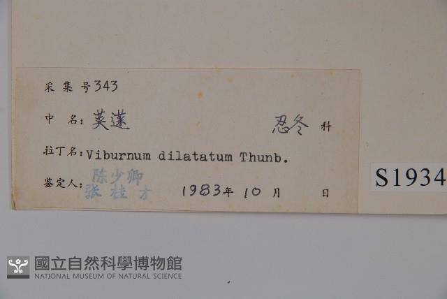 莢迷藏品圖，第2張