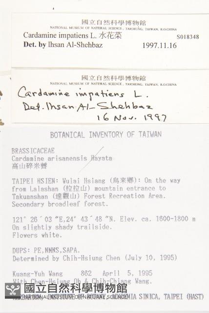 水花菜藏品圖，第2張